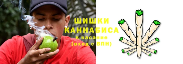 прущая мука Дмитриев