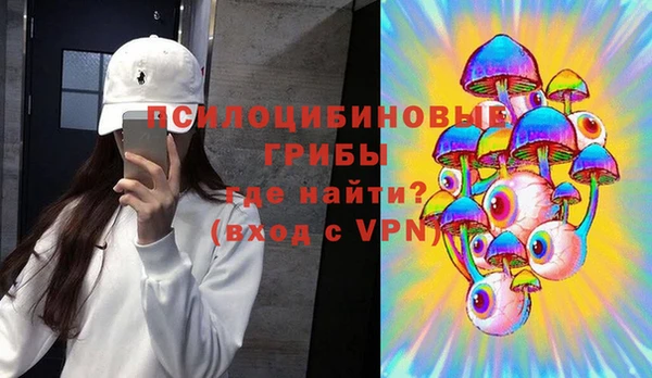 спиды Дмитровск