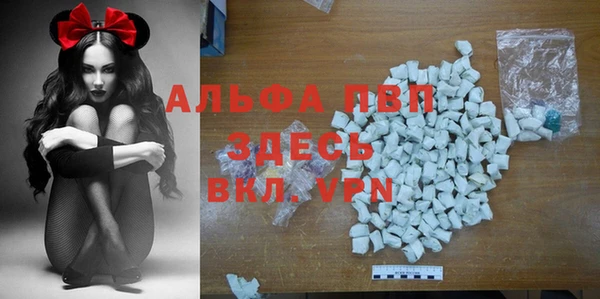 спиды Дмитровск