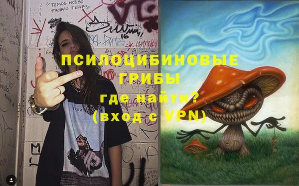 прущая мука Дмитриев