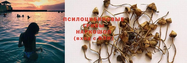 прущая мука Дмитриев