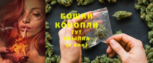 прущая мука Дмитриев