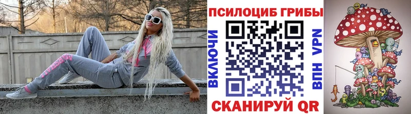Купить  Чулым  Галлюциногенные грибы мицелий 
